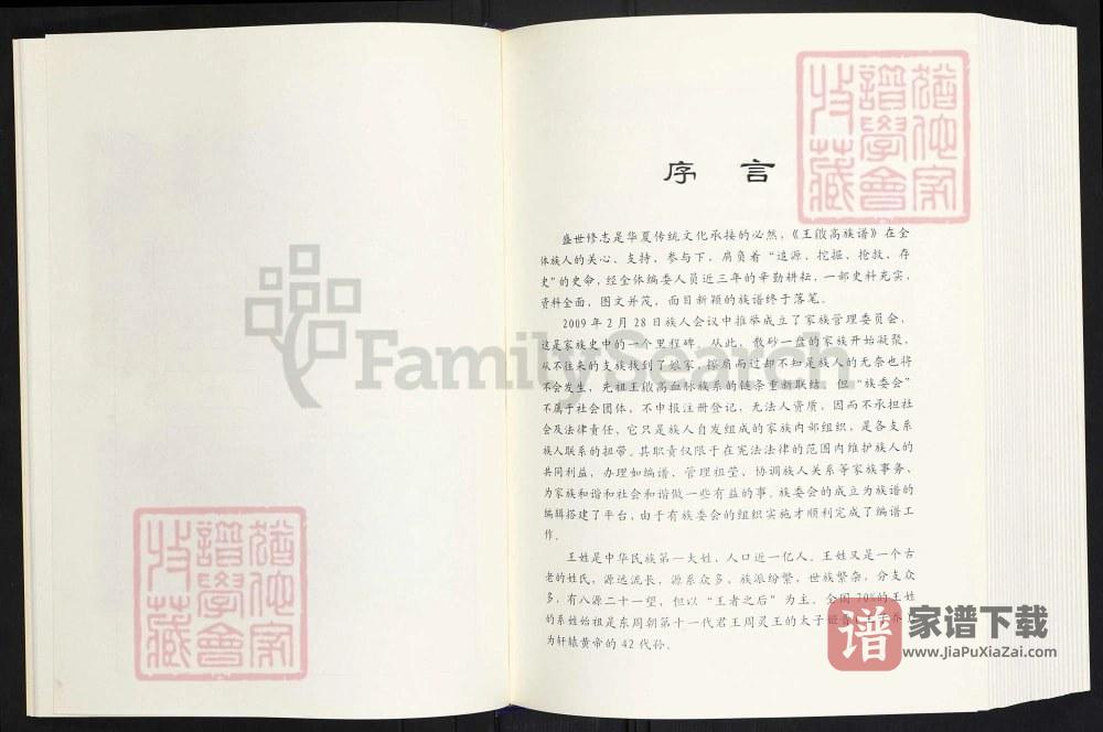 图片[2]-云南曲靖师宗县王启高族谱PDF高清电子版下载-家谱下载