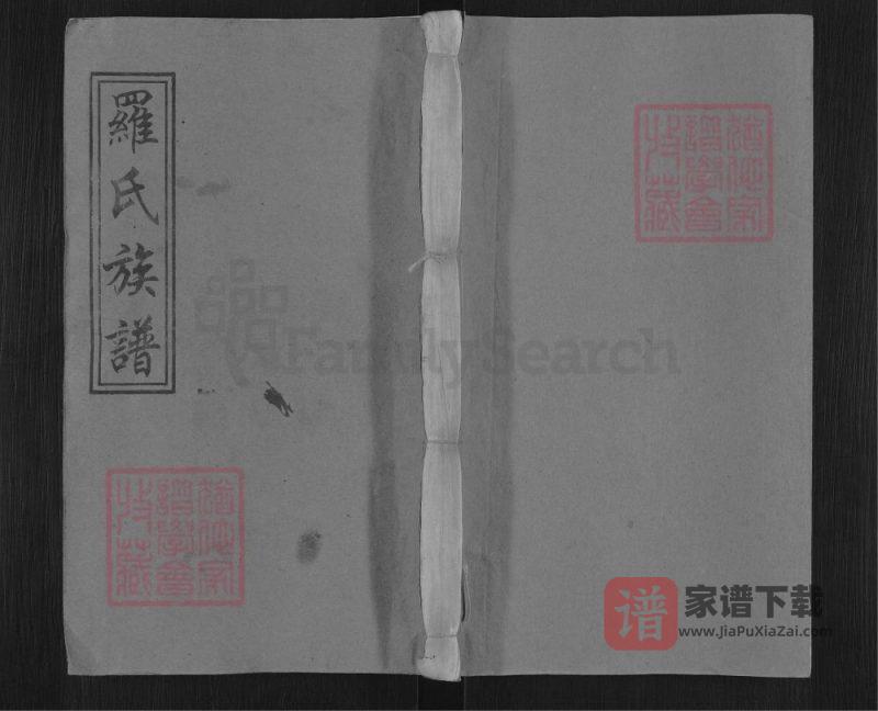 江西万载宜春分宜上高袁州罗宗庆祠五修族谱（豫章堂）PDF高清电子版下载-家谱下载