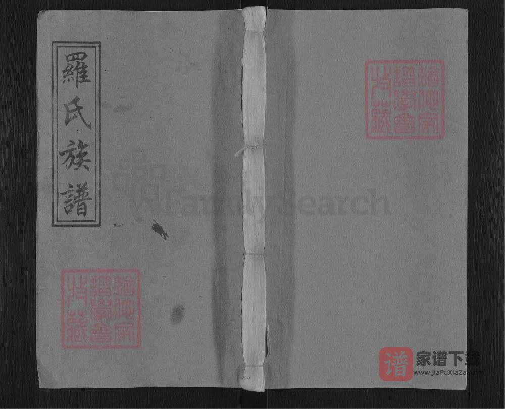 江西万载宜春分宜上高袁州罗宗庆祠五修族谱（豫章堂）PDF高清电子版下载