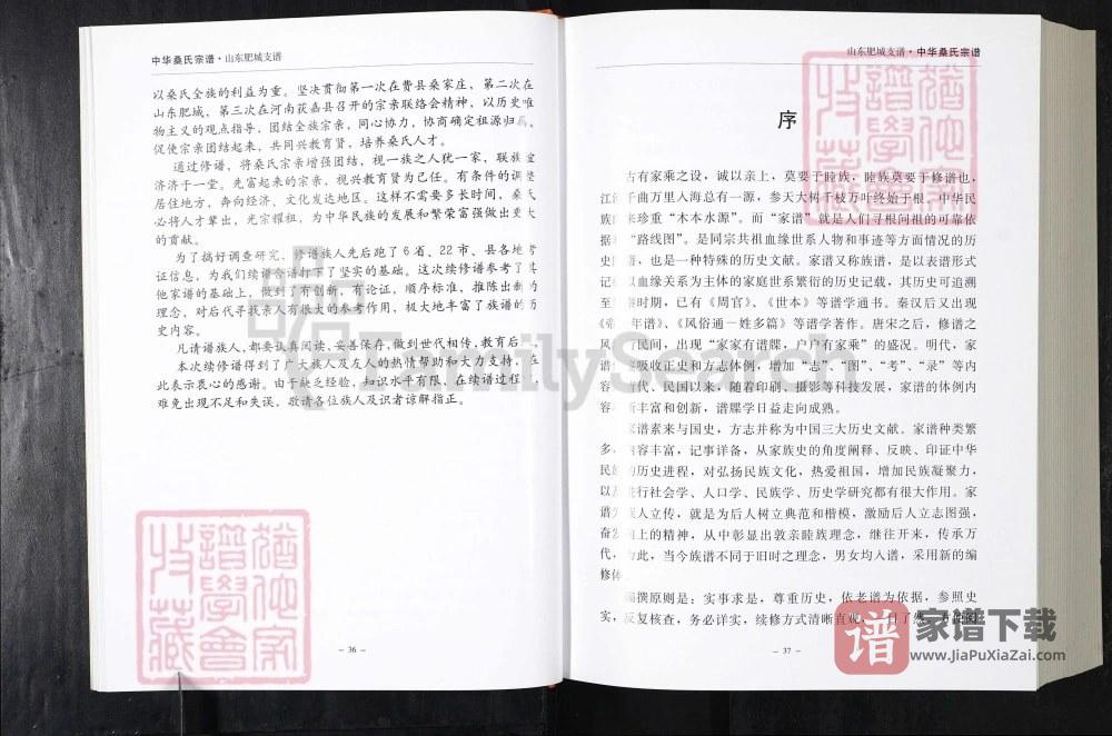 图片[2]-中华桑氏宗谱山东肥城支谱PDF高清电子版下载-家谱下载