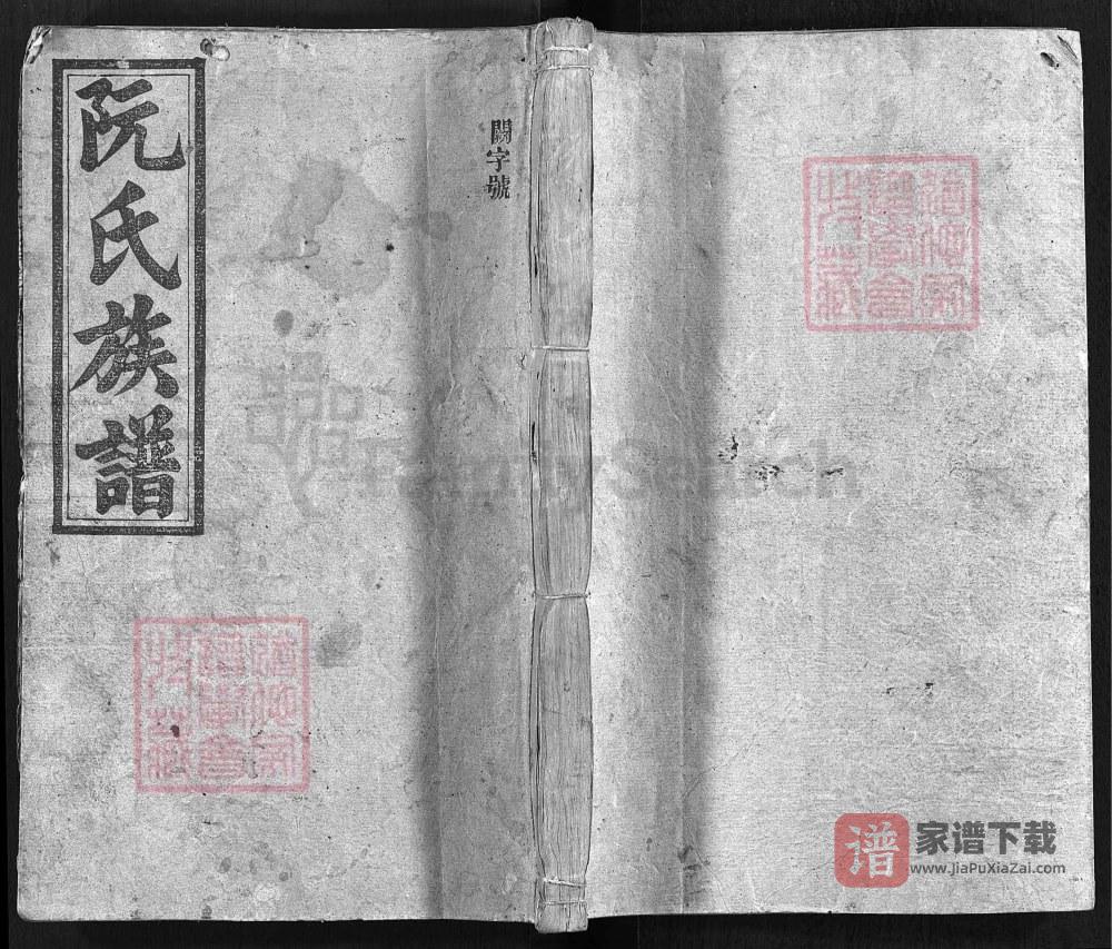 湖南邵阳阮氏三修族谱（陈留堂）PDF高清电子版下载