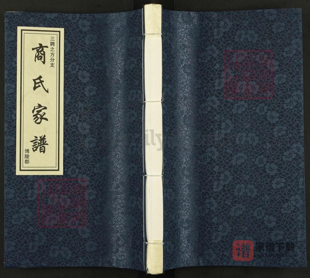 山东聊城茌平商氏家谱三聘之方分支PDF高清电子版下载