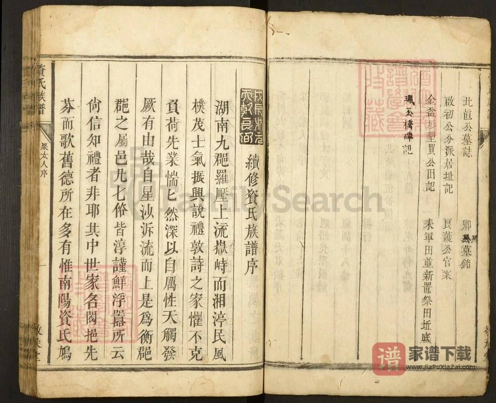 图片[2]-湖南衡阳耒阳资氏合修族谱（敬承堂）PDF高清电子版下载-家谱下载