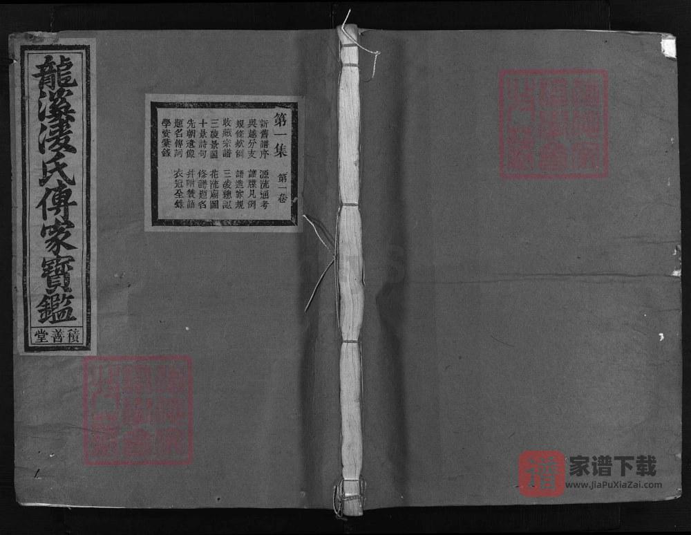 图片[1]-浙江兰溪龙溪凌氏宗谱（积善堂）PDF高清电子版下载-家谱下载