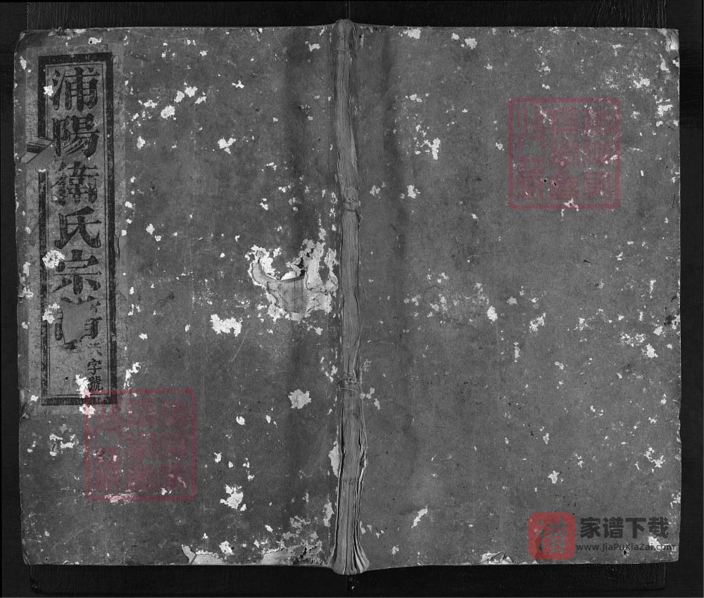 浙江金华浦江县浦阳卫氏宗谱PDF高清电子版下载
