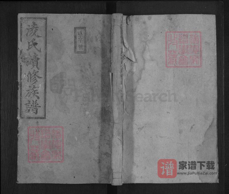 湖南郴州凌氏续修族谱(流芳堂)PDF高清电子版下载-家谱下载