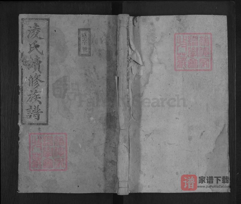 图片[1]-湖南郴州凌氏续修族谱（流芳堂）PDF高清电子版下载-家谱下载