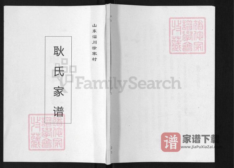 山东淄博淄川徐家村耿氏家谱PDF高清电子版下载-家谱下载