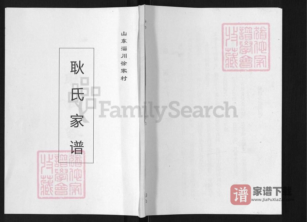山东淄博淄川徐家村耿氏家谱PDF高清电子版下载