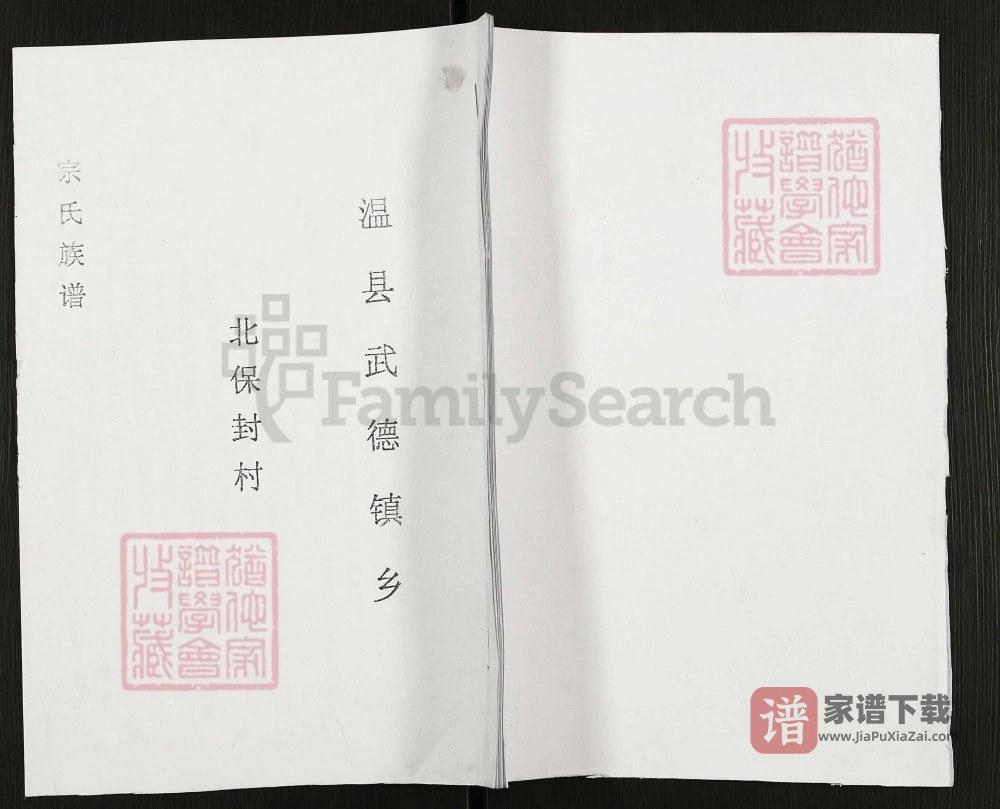 图片[1]-河南焦作温县宗氏族谱PDF高清电子版下载-家谱下载