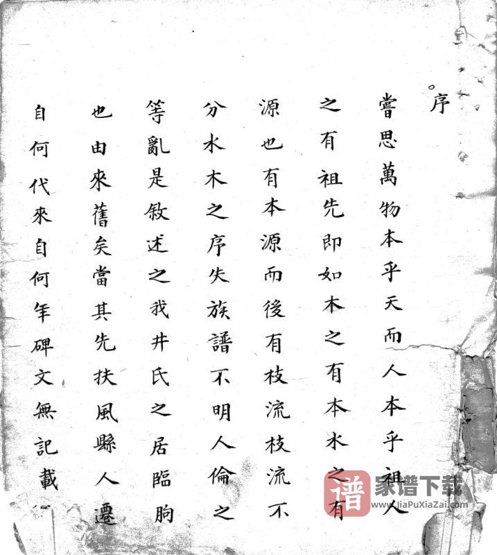 山东潍坊临朐井氏祖谱PDF高清电子版下载-家谱下载