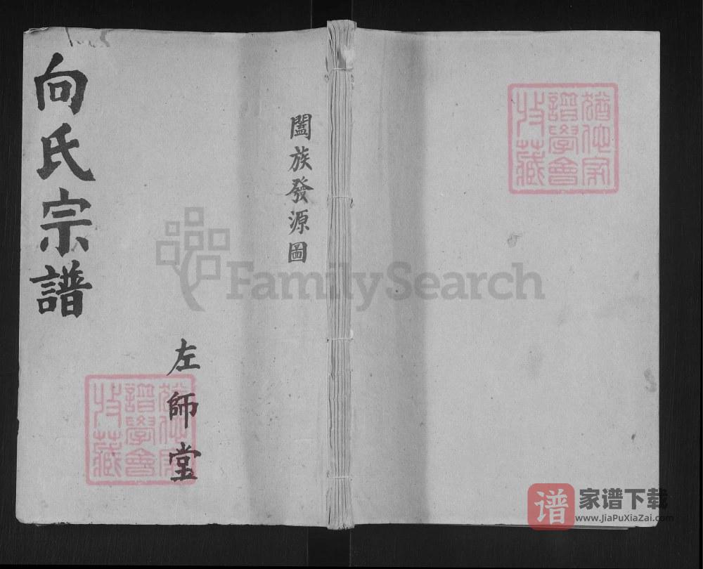 湖北仙桃向氏宗谱（左师堂）PDF高清电子版下载