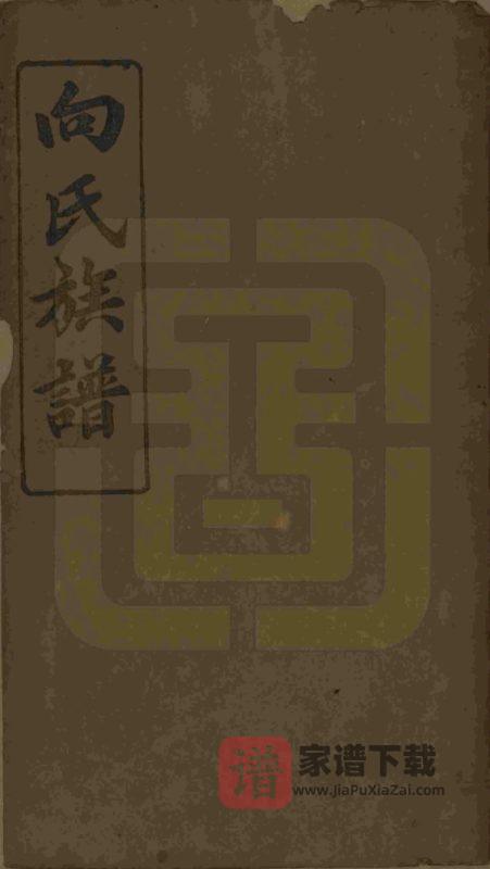 湖南岳阳向氏族谱（大耐堂）PDF高清电子版下载-家谱下载