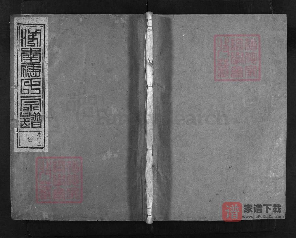 浙江兰溪鹭塘应氏宗谱（敦睦堂）PDF高清电子版下载