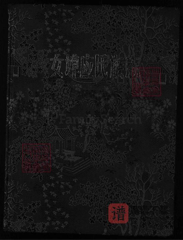 浙江兰溪女埠应氏族志PDF高清电子版下载-家谱下载