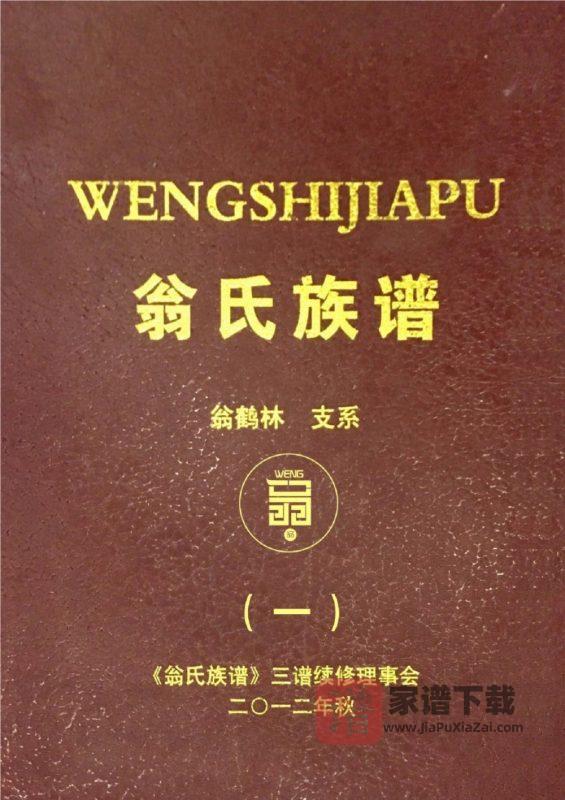 贵州遵义翁氏族谱翁鹤琳支系(川渝黔滇联修)PDF高清电子版下载-家谱下载