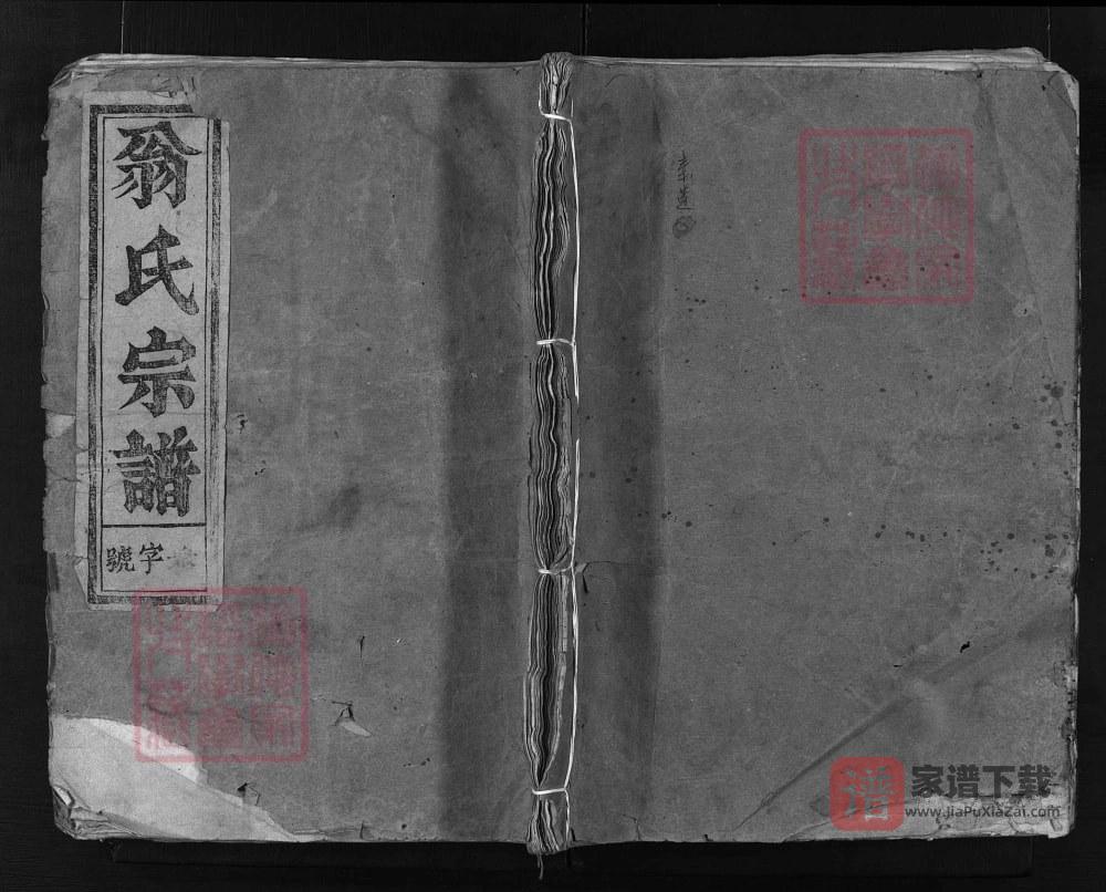 图片[1]-浙江兰溪尖山翁氏宗谱（仁善堂）PDF高清电子版下载-家谱下载