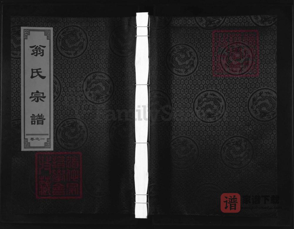 图片[1]-浙江兰溪翁氏宗谱（亦政堂）PDF高清电子版下载-家谱下载