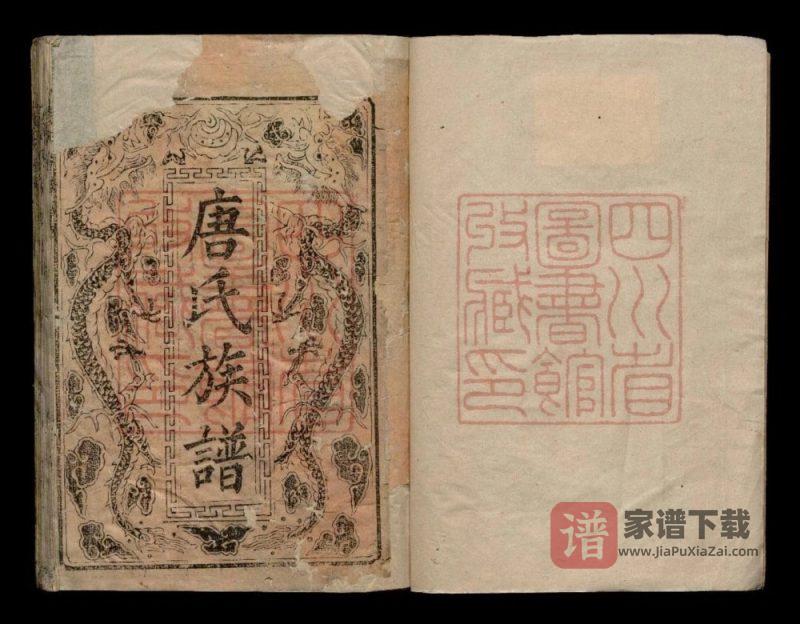 四川德阳中江县唐氏族谱PDF高清电子版下载-家谱下载