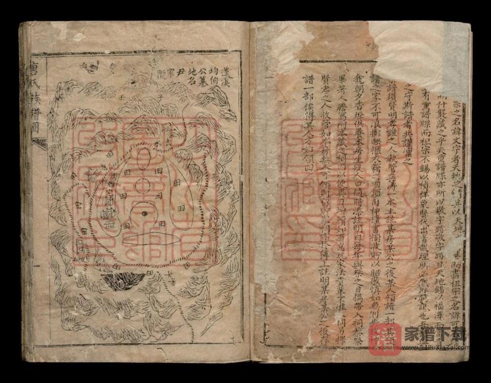 图片[2]-四川德阳中江县唐氏族谱PDF高清电子版下载-家谱下载