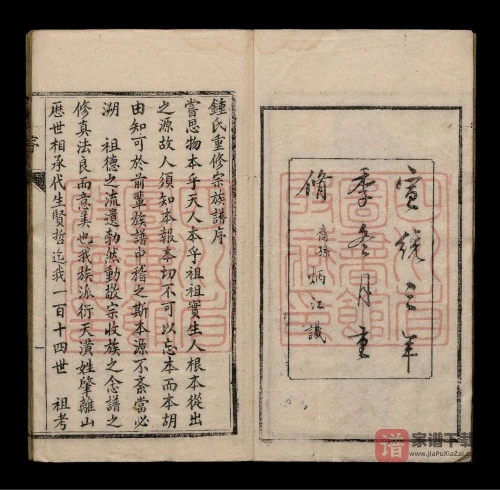 图片[2]-四川成都钟氏族谱PDF高清电子版下载-家谱下载