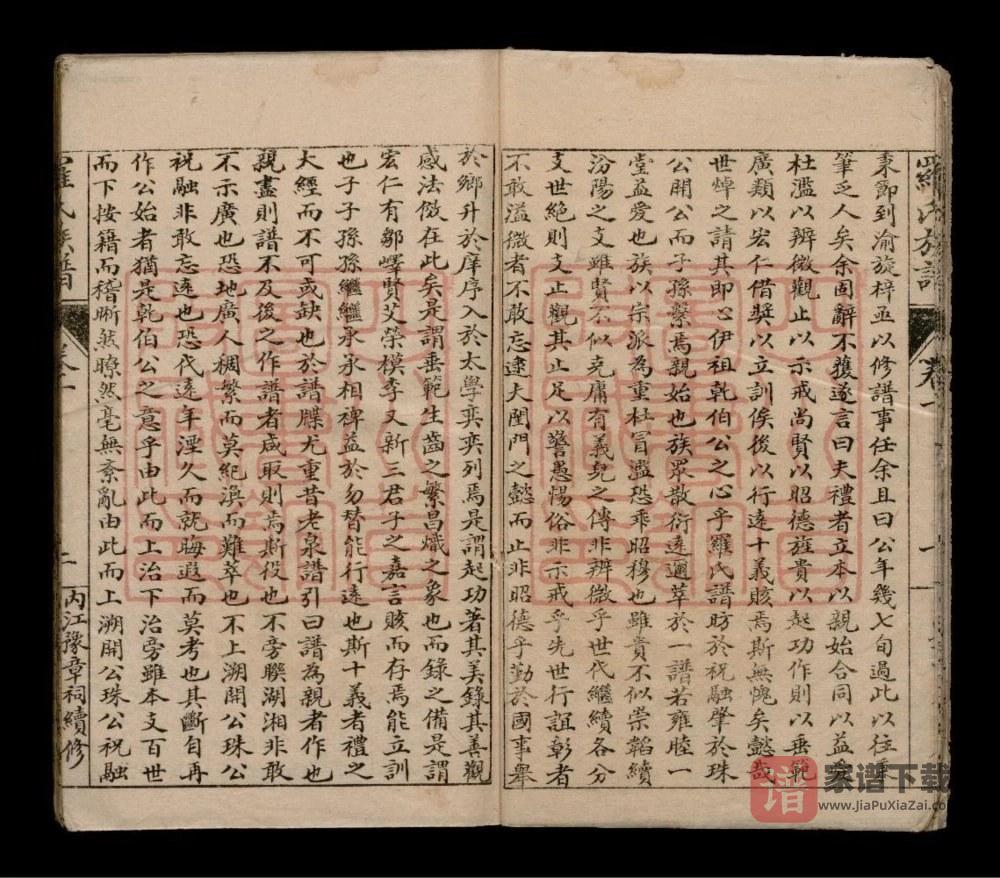 图片[2]-四川内江罗氏族谱PDF高清电子版下载-家谱下载