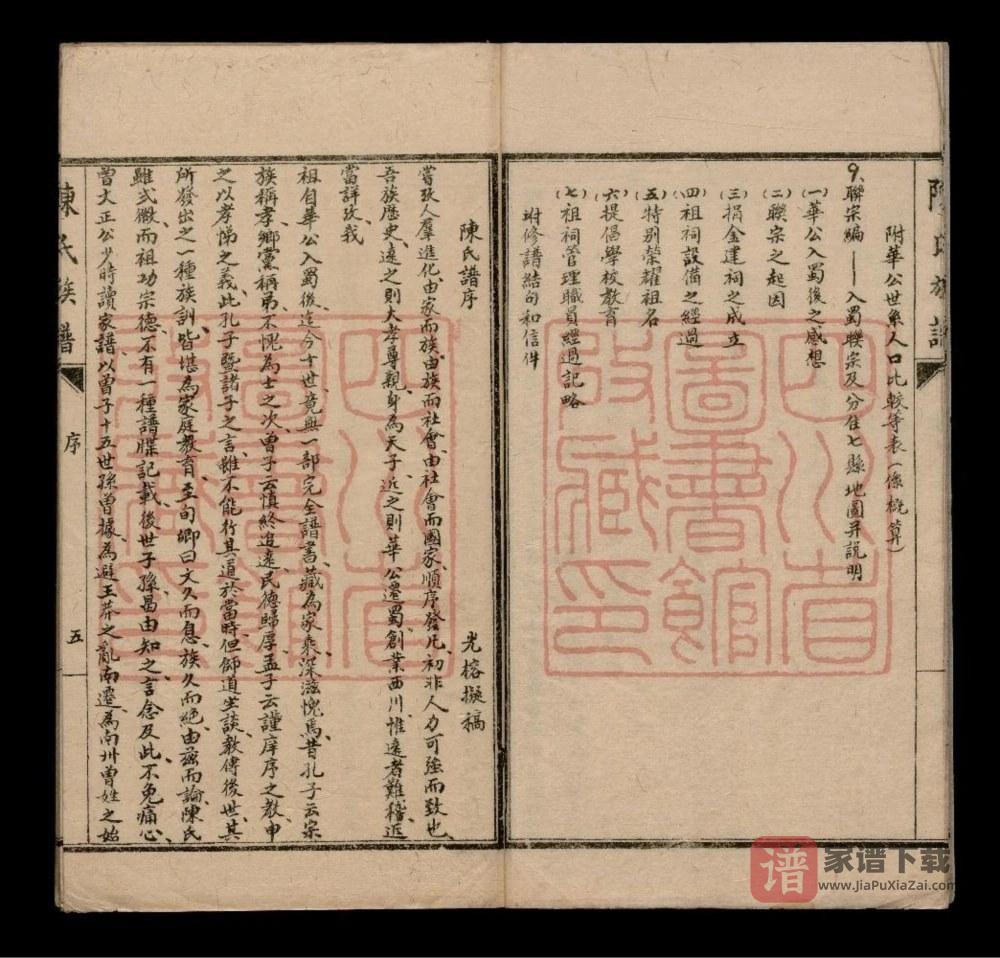 图片[2]-四川成都陈华英公族谱PDF高清电子版下载-家谱下载