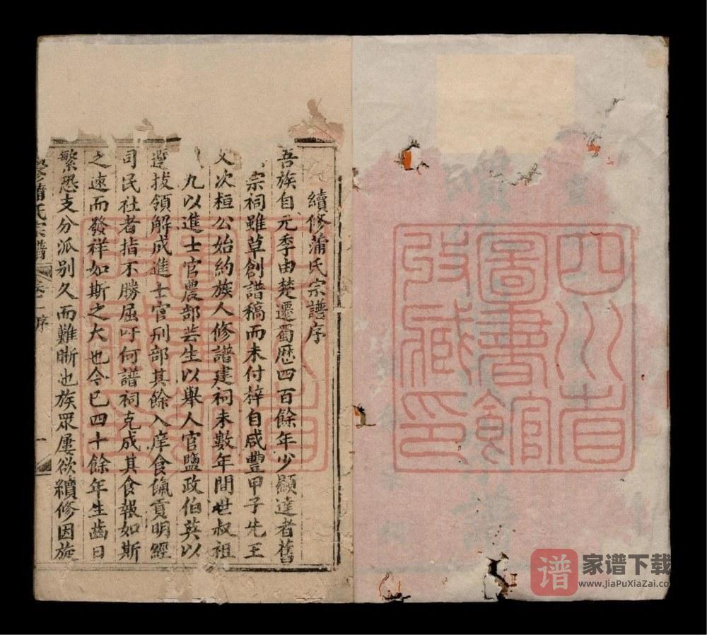 图片[2]-四川广安续修蒲氏宗谱PDF高清电子版下载-家谱下载