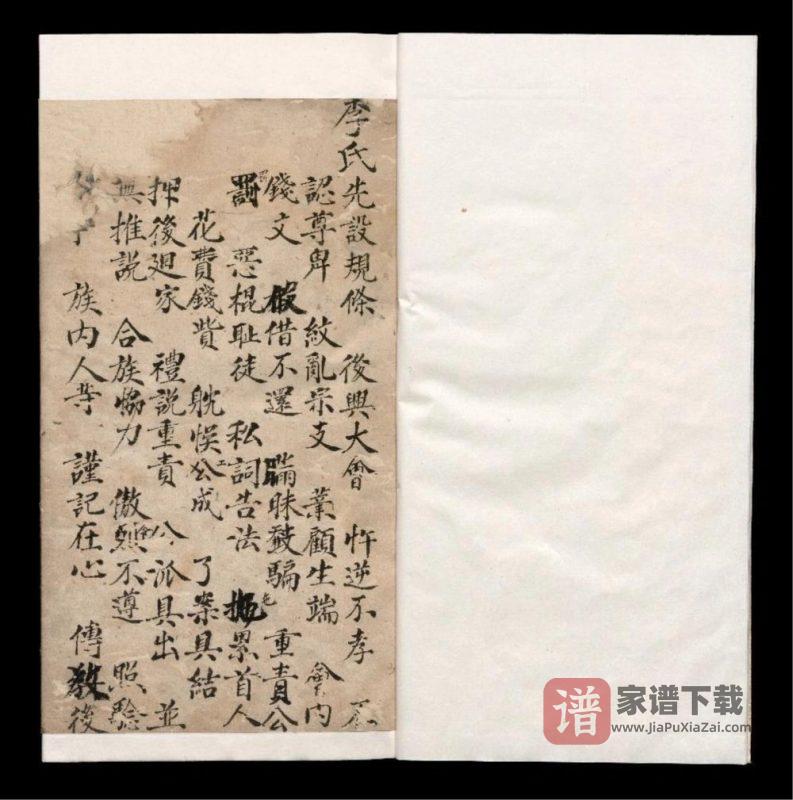 四川眉山仁寿县李氏谱簿PDF高清电子版下载-家谱下载