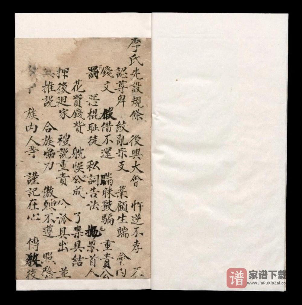 四川眉山仁寿县李氏谱簿PDF高清电子版下载