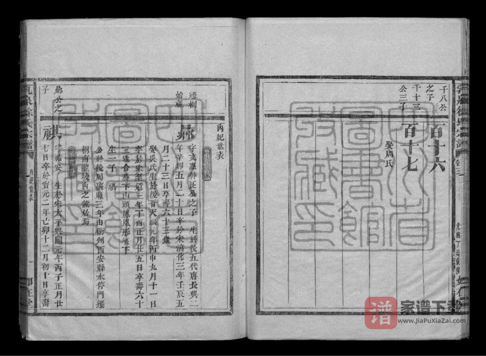 图片[1]-浙江金华乳泉徐氏族谱PDF高清电子版下载-家谱下载