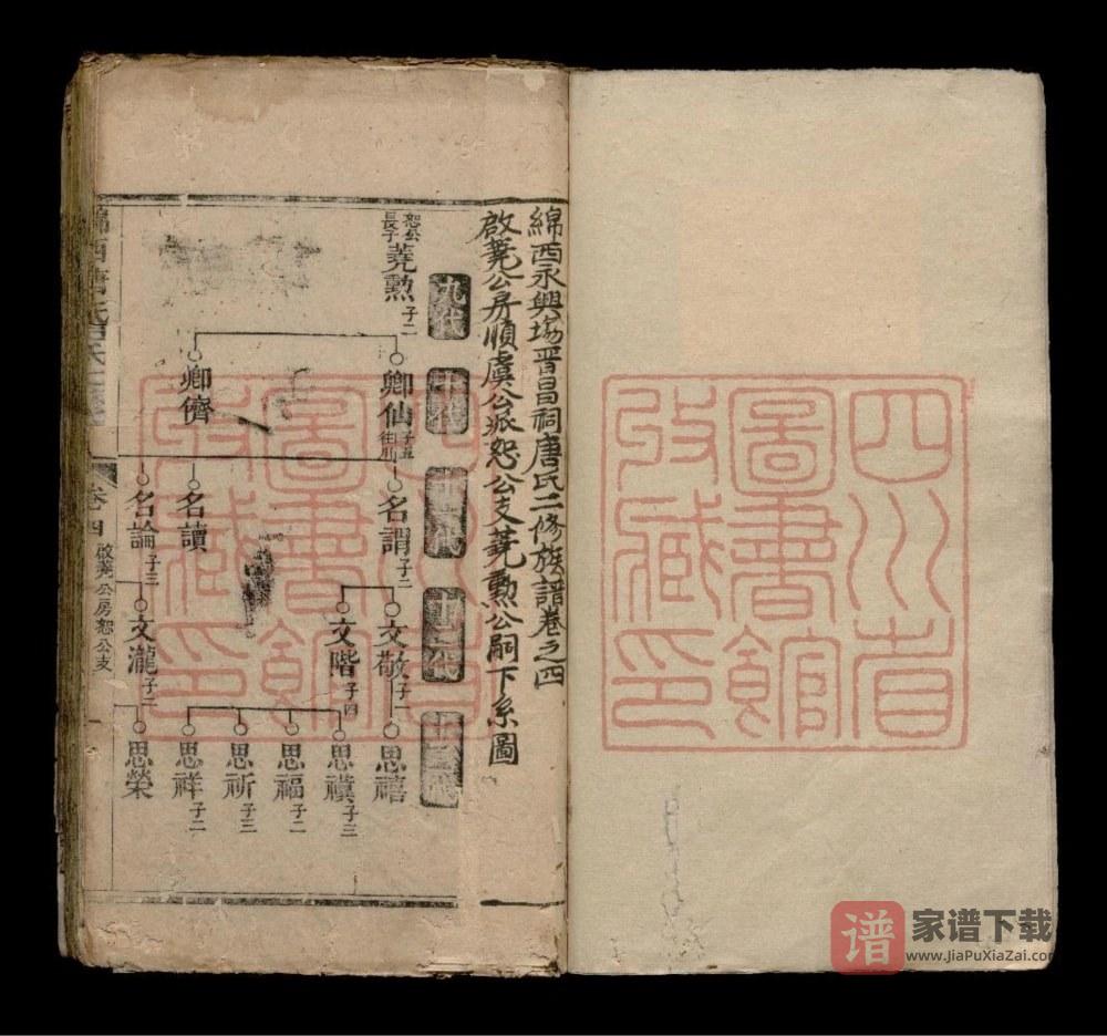 图片[2]-四川绵阳绵西永兴场晋昌祠唐氏族谱（晋昌堂）PDF高清电子版下载-家谱下载
