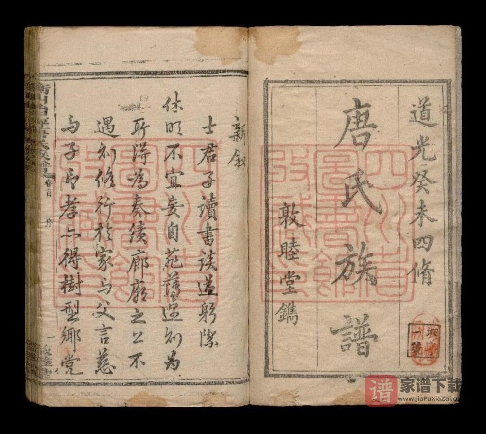 图片[1]-湖南衡阳衡山治坪晋昌唐氏四修族谱（敦睦堂）PDF高清电子版下载-家谱下载