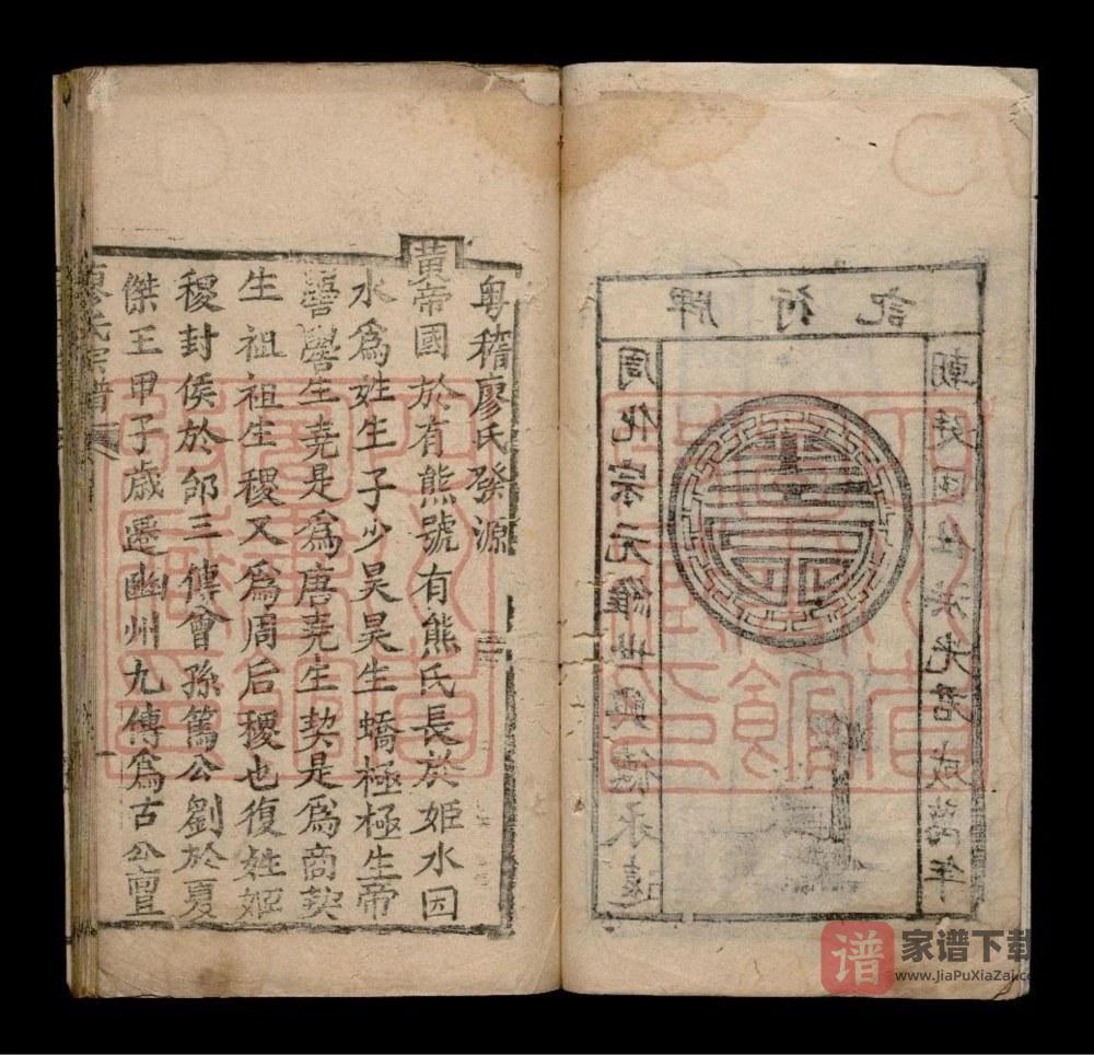 图片[2]-四川成都双流华阳石板滩廖氏族谱PDF高清电子版下载-家谱下载