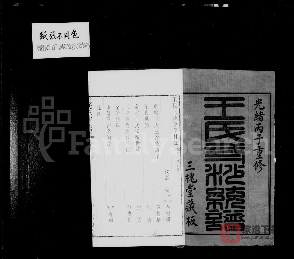 图片[2]-江苏省王氏三沙统谱（三槐堂）PDF高清电子版下载-家谱下载