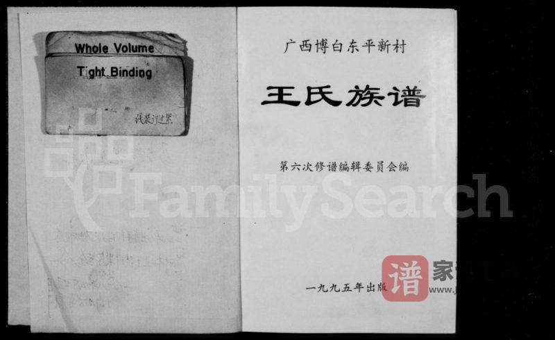 广西玉林博白县东平新村王氏族谱PDF高清电子版下载-家谱下载