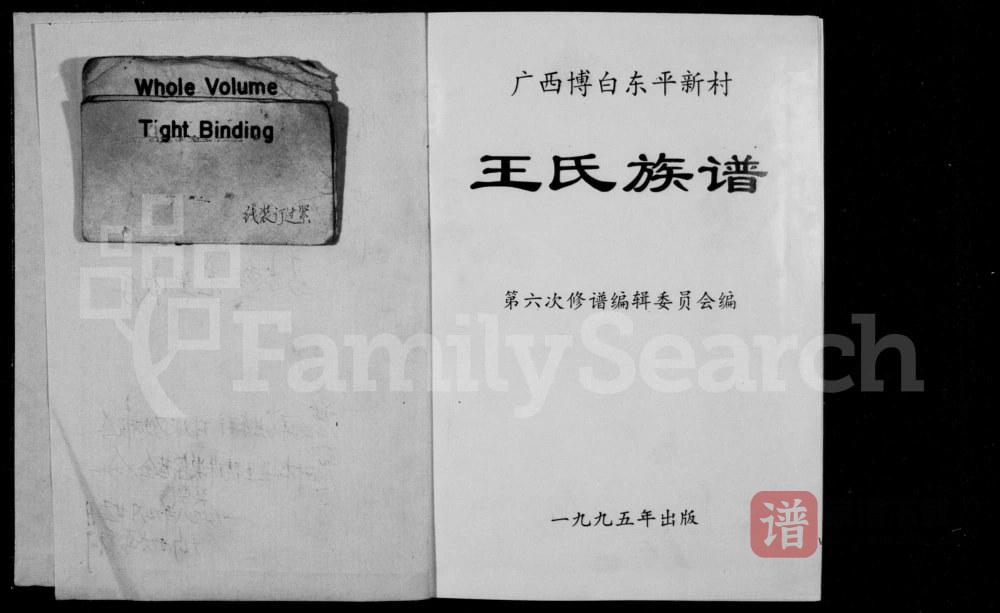 广西玉林博白县东平新村王氏族谱PDF高清电子版下载