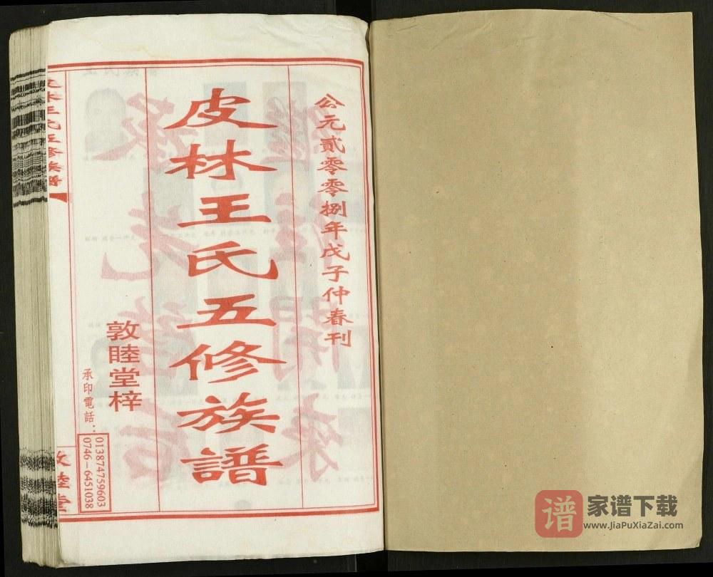 图片[2]-湖南邵东邵陵皮林王氏五修族谱（敦睦堂）PDF高清电子版下载-家谱下载