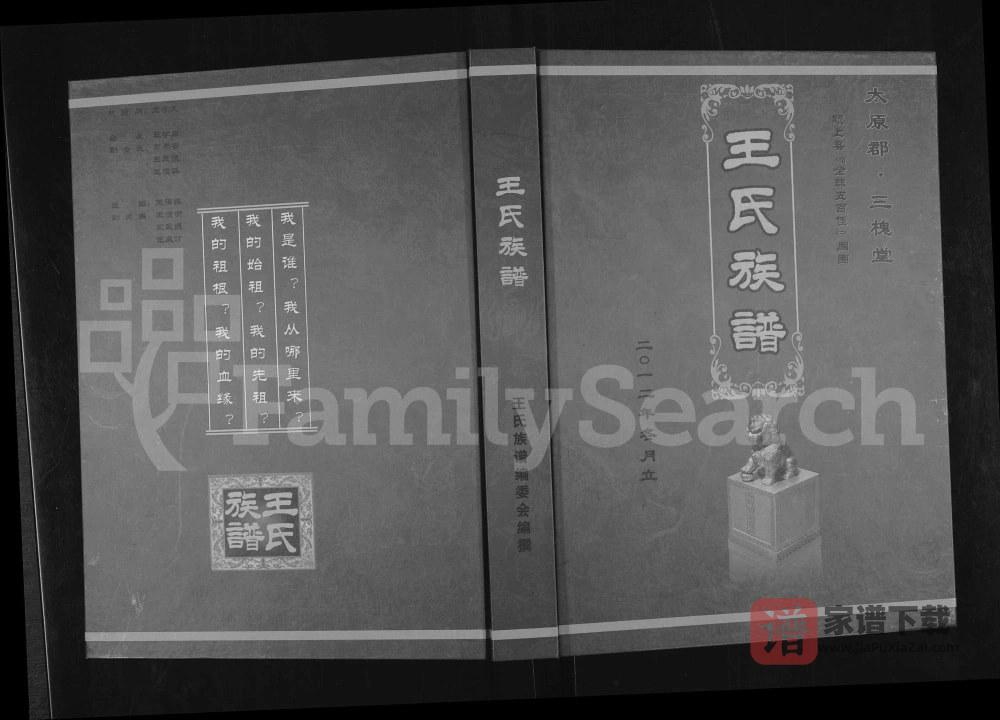 安徽阜阳颍上县王氏族谱（三槐堂）PDF高清电子版下载