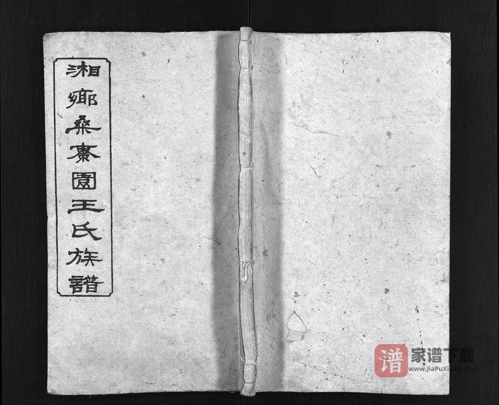 湖南湘乡桑枣园王氏族谱（太原堂）PDF高清电子版下载