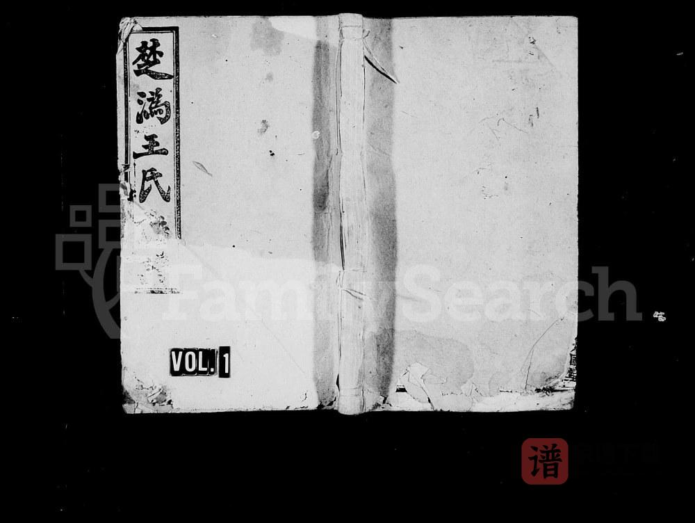 湖南长沙宁乡县楚沩王氏八修族谱（太原堂）PDF高清电子版下载