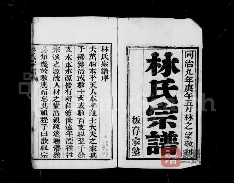 安徽蚌埠怀远林氏宗谱PDF高清电子版下载-家谱下载