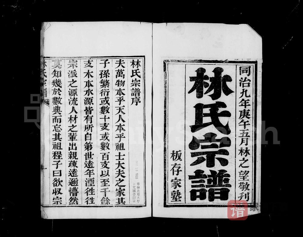 安徽蚌埠怀远林氏宗谱PDF高清电子版下载