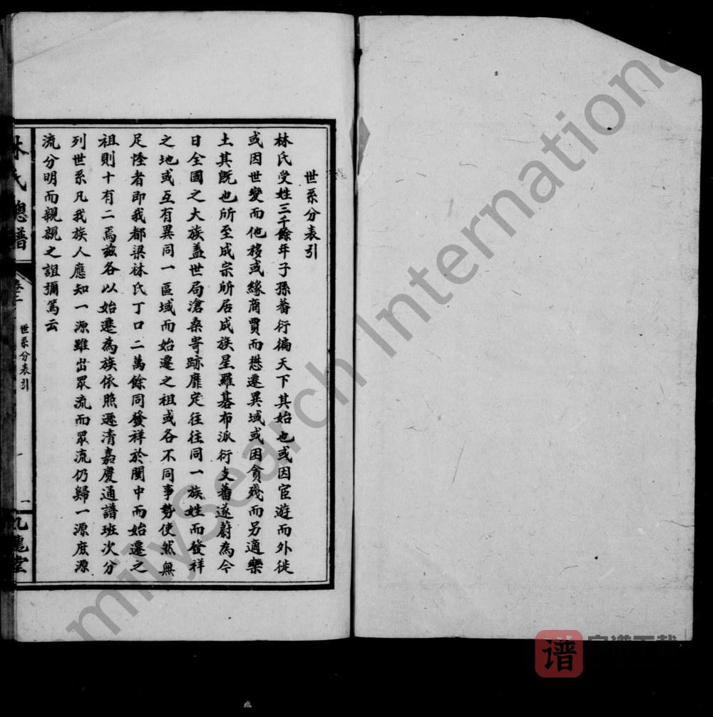 图片[2]-湖南武冈林氏总谱（九龙堂）PDF高清电子版下载-家谱下载