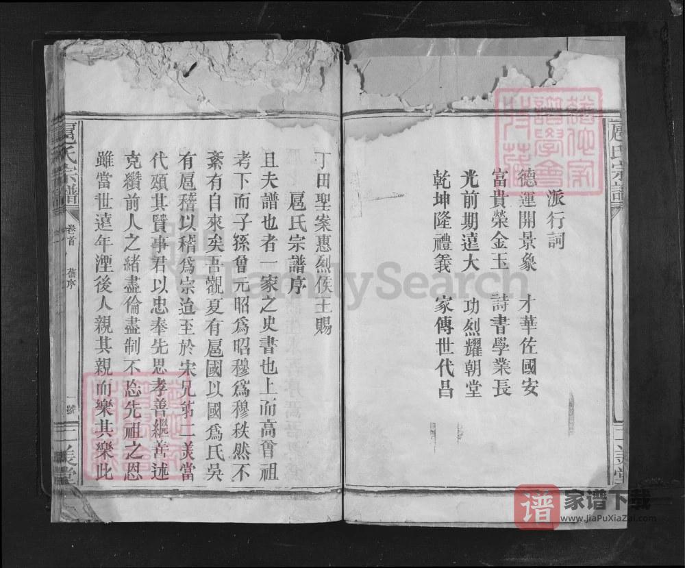 图片[2]-四川南充扈氏宗谱（二美堂）PDF高清电子版下载-家谱下载