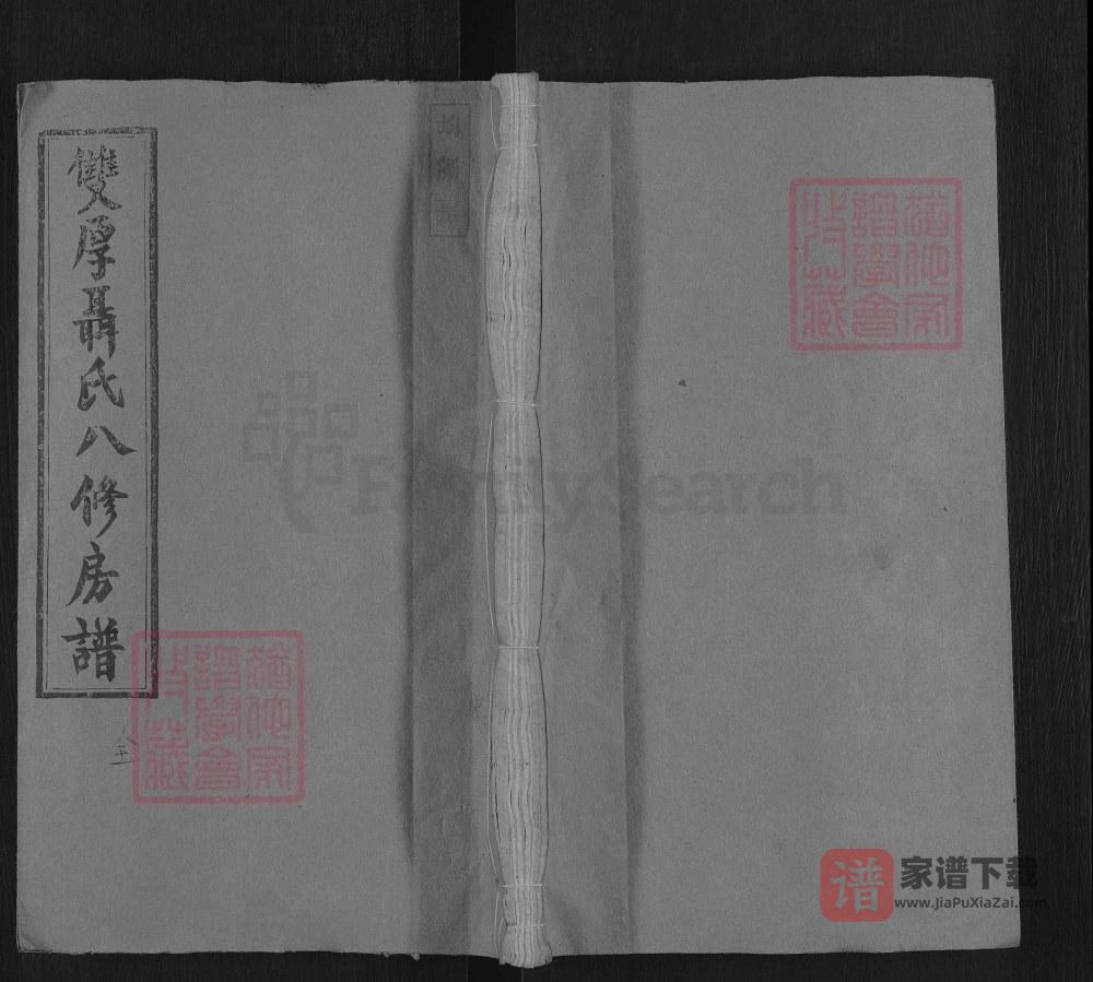 图片[1]-湖南衡阳双厚聂氏八修家谱（垂裕堂）PDF高清电子版下载-家谱下载