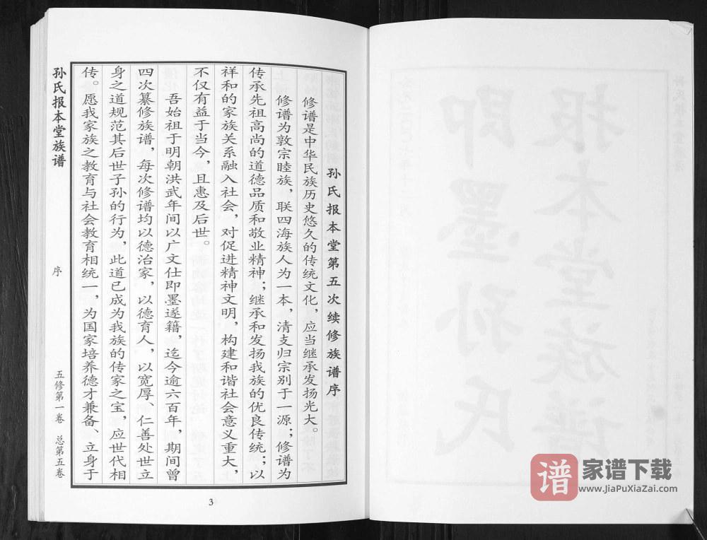 图片[2]-山东青岛即墨孙氏族谱（报本堂）PDF高清电子版下载-家谱下载