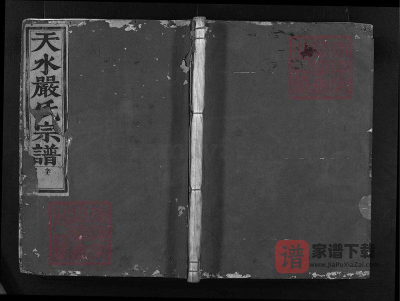 浙江兰溪聚凤严氏宗谱（存著堂）PDF高清电子版下载-家谱下载