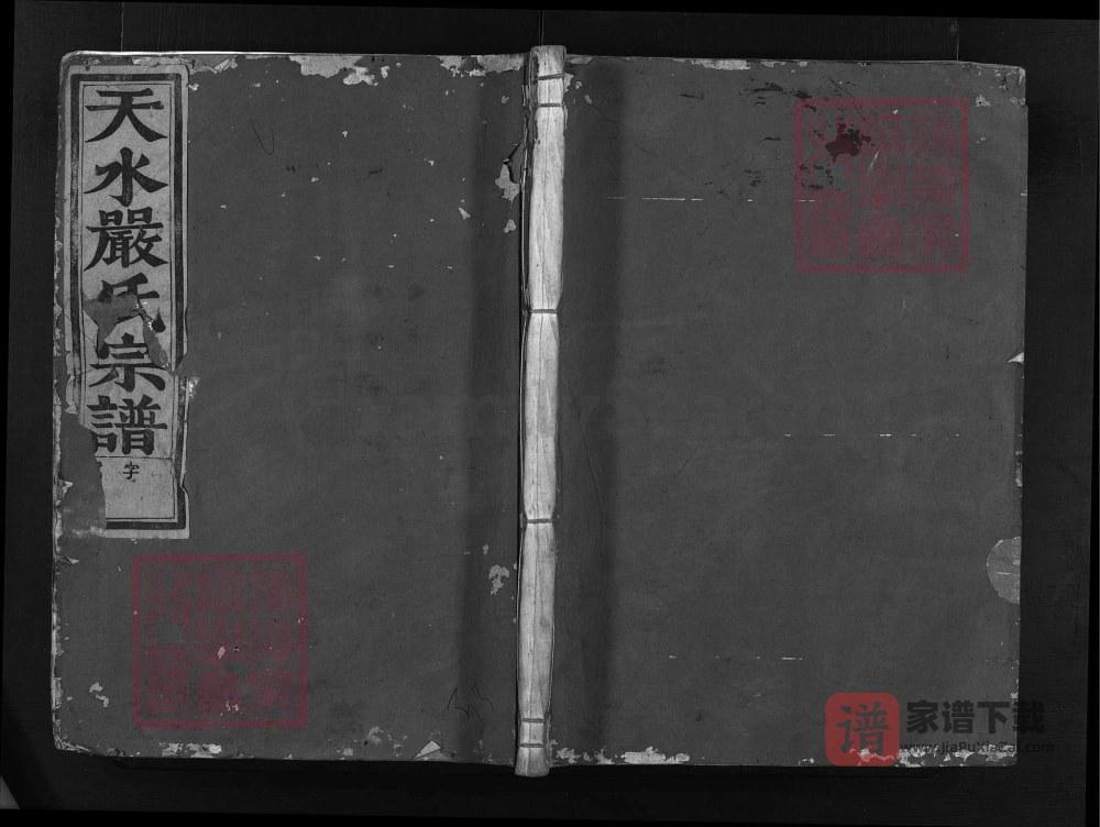 图片[1]-浙江兰溪聚凤严氏宗谱（存著堂）PDF高清电子版下载-家谱下载