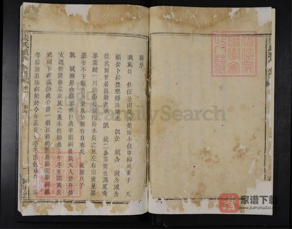图片[2]-湖南安化严氏续修族谱（春山堂）PDF高清电子版下载-家谱下载